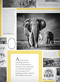 S.A.F.E. (Safeguarding a Future for Africa's Elephants): SAFE- Necklace